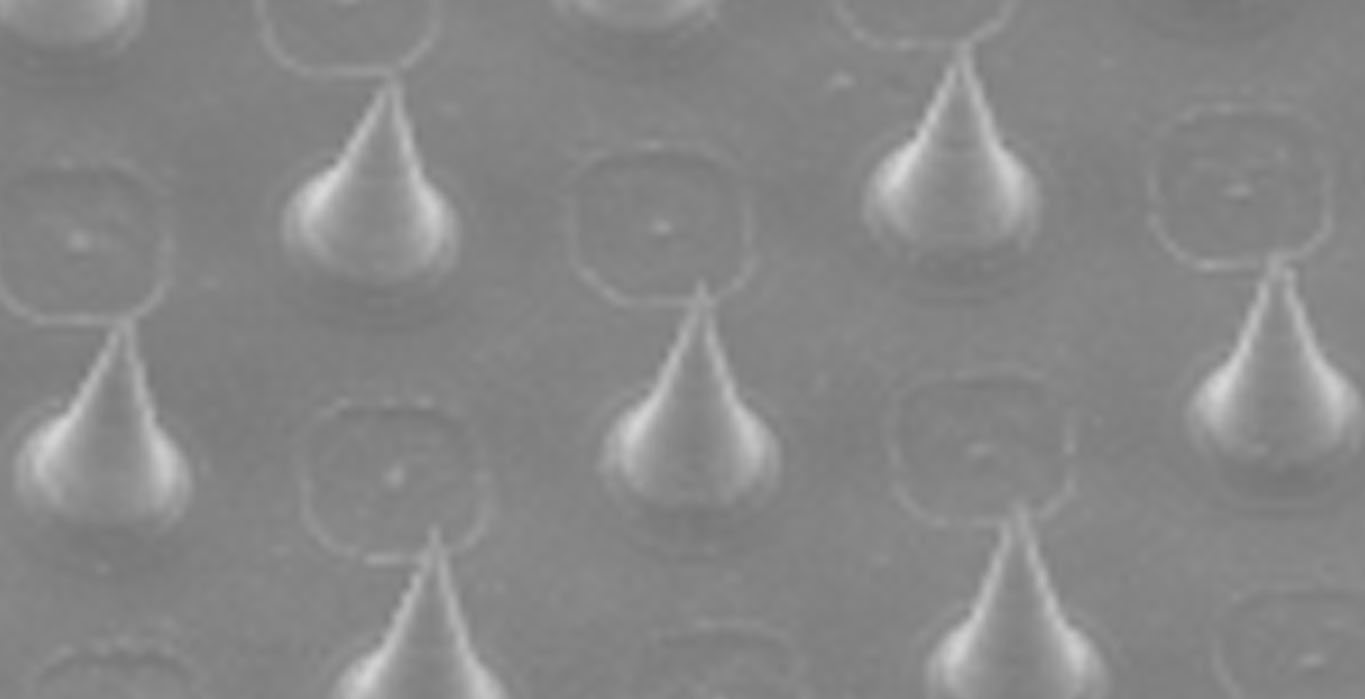 news-detail-pic